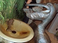 photos 2000-200902568